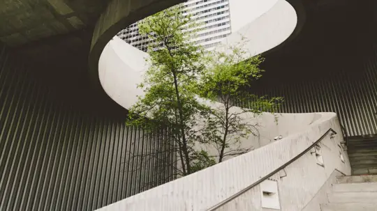 How we make our work sustainable